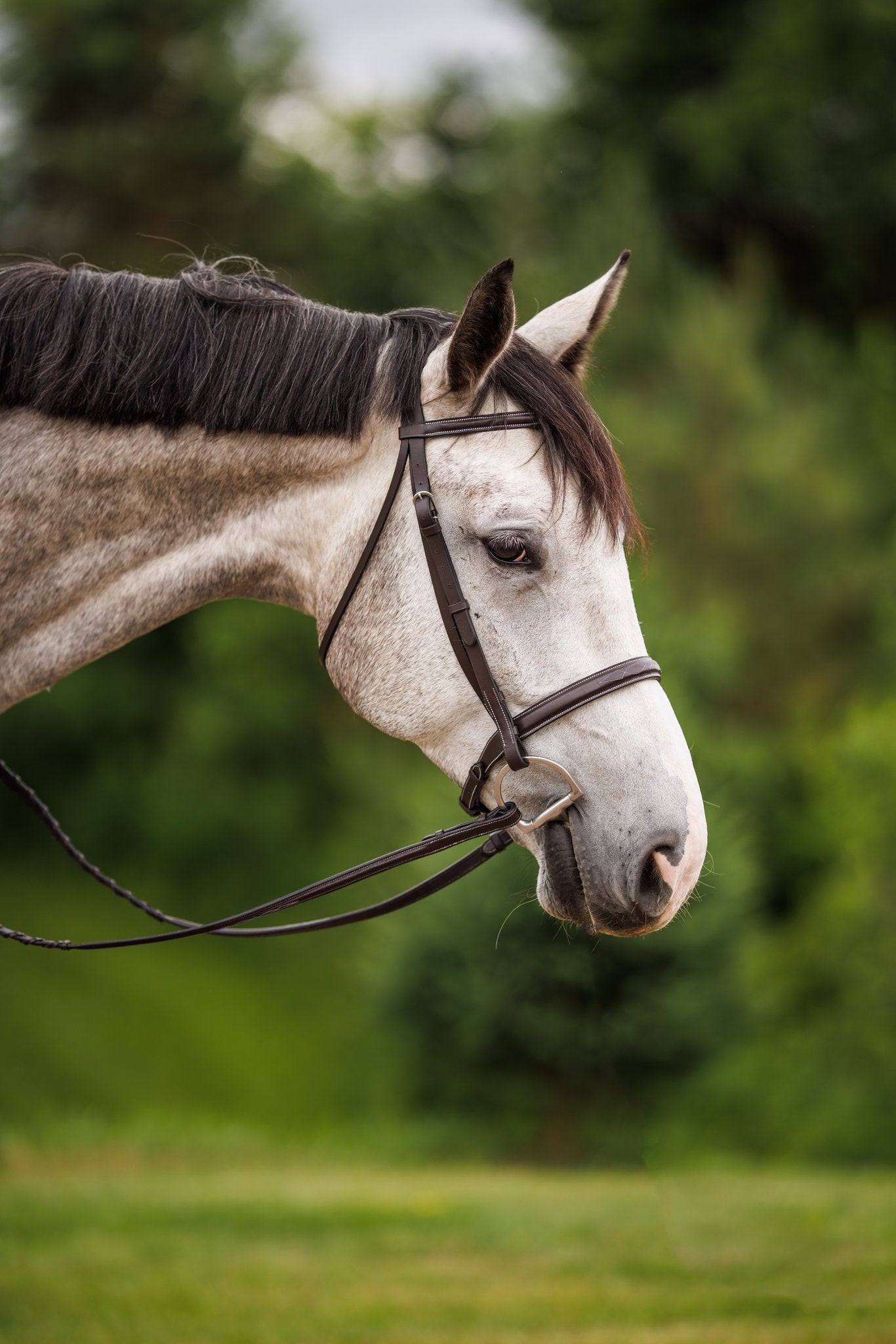 Brydalworx Hunter Bridle