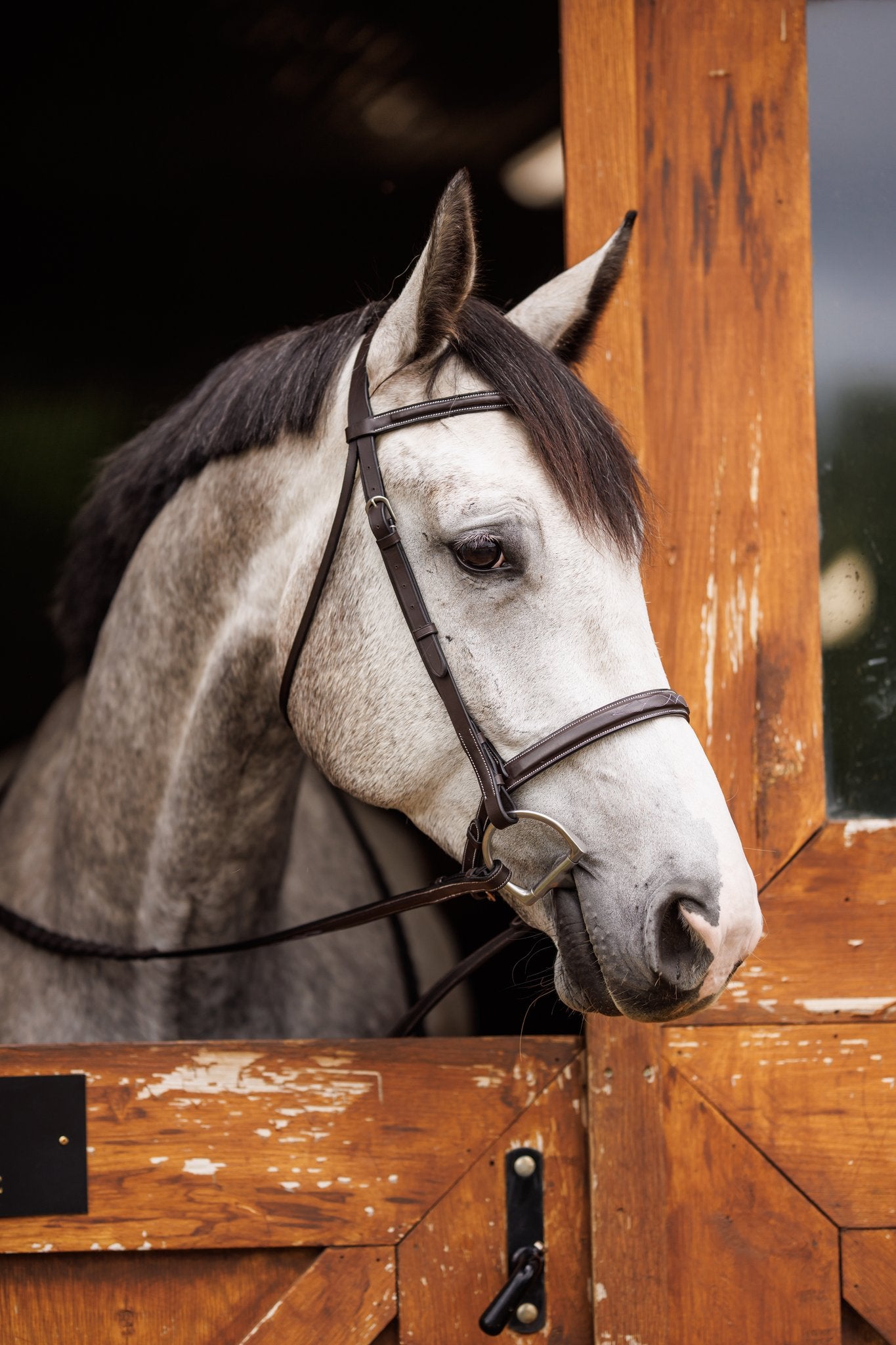 Brydalworx Hunter Bridle