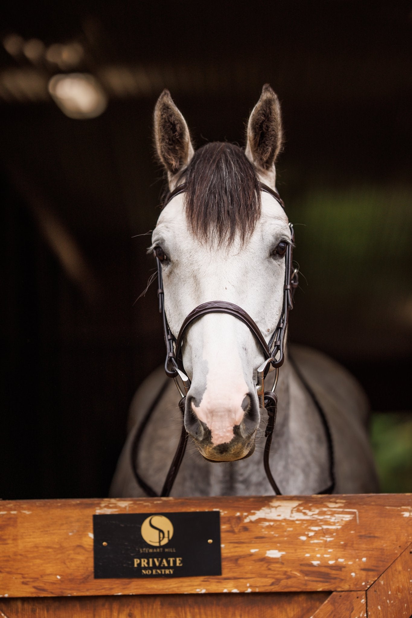 Brydalworx Hunter Bridle