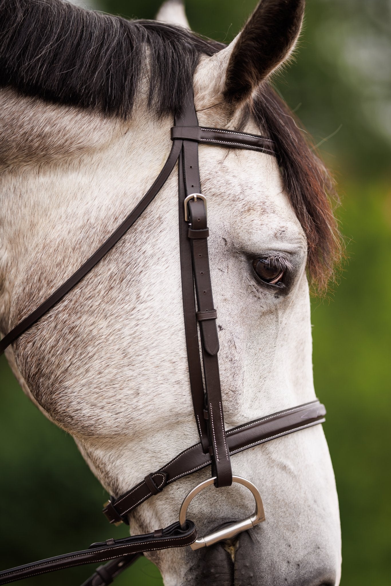 Brydalworx Hunter Bridle