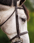 Brydalworx Hunter Bridle