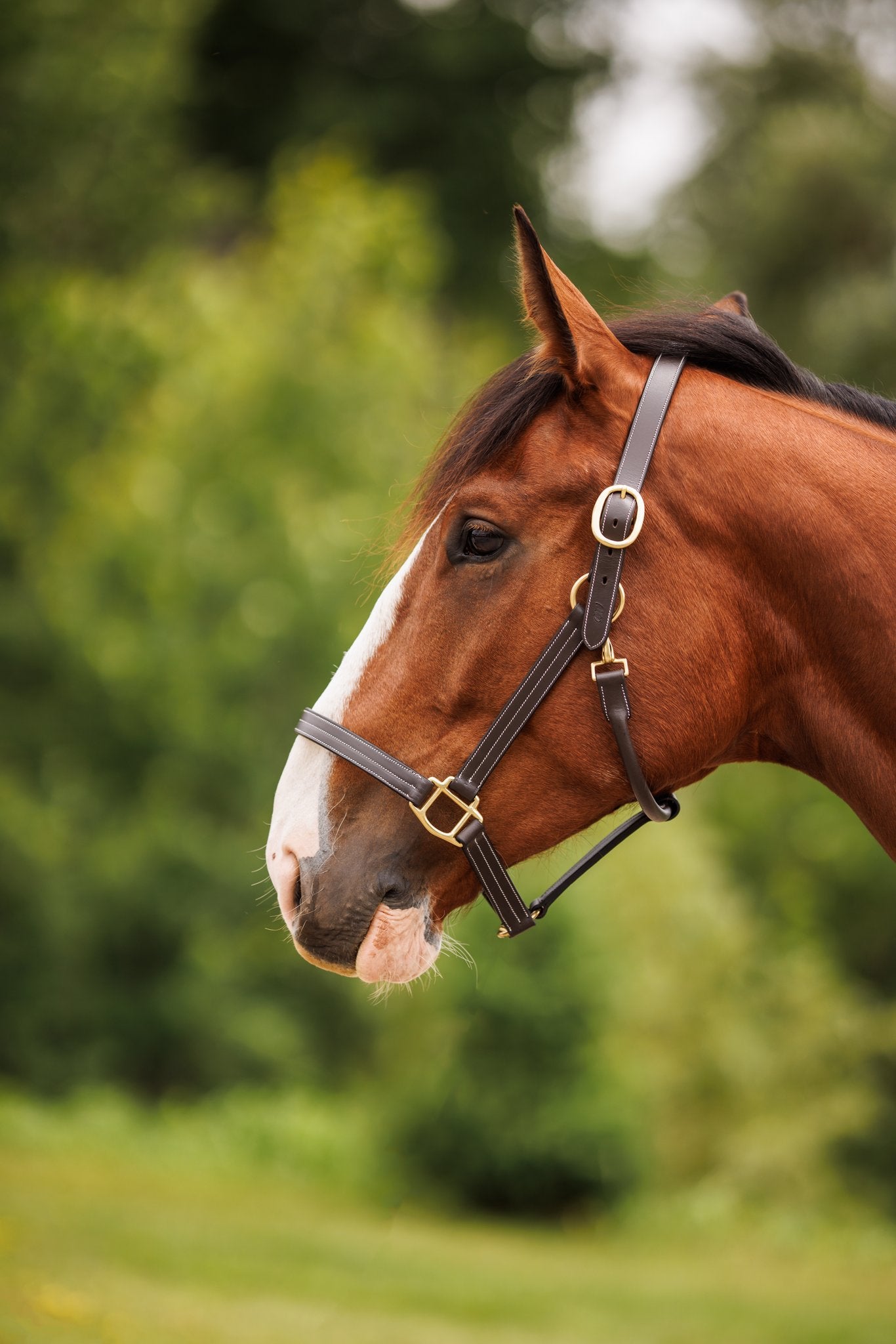 Brydalworx Triple Stitch Leather Halter Fixed Noseband