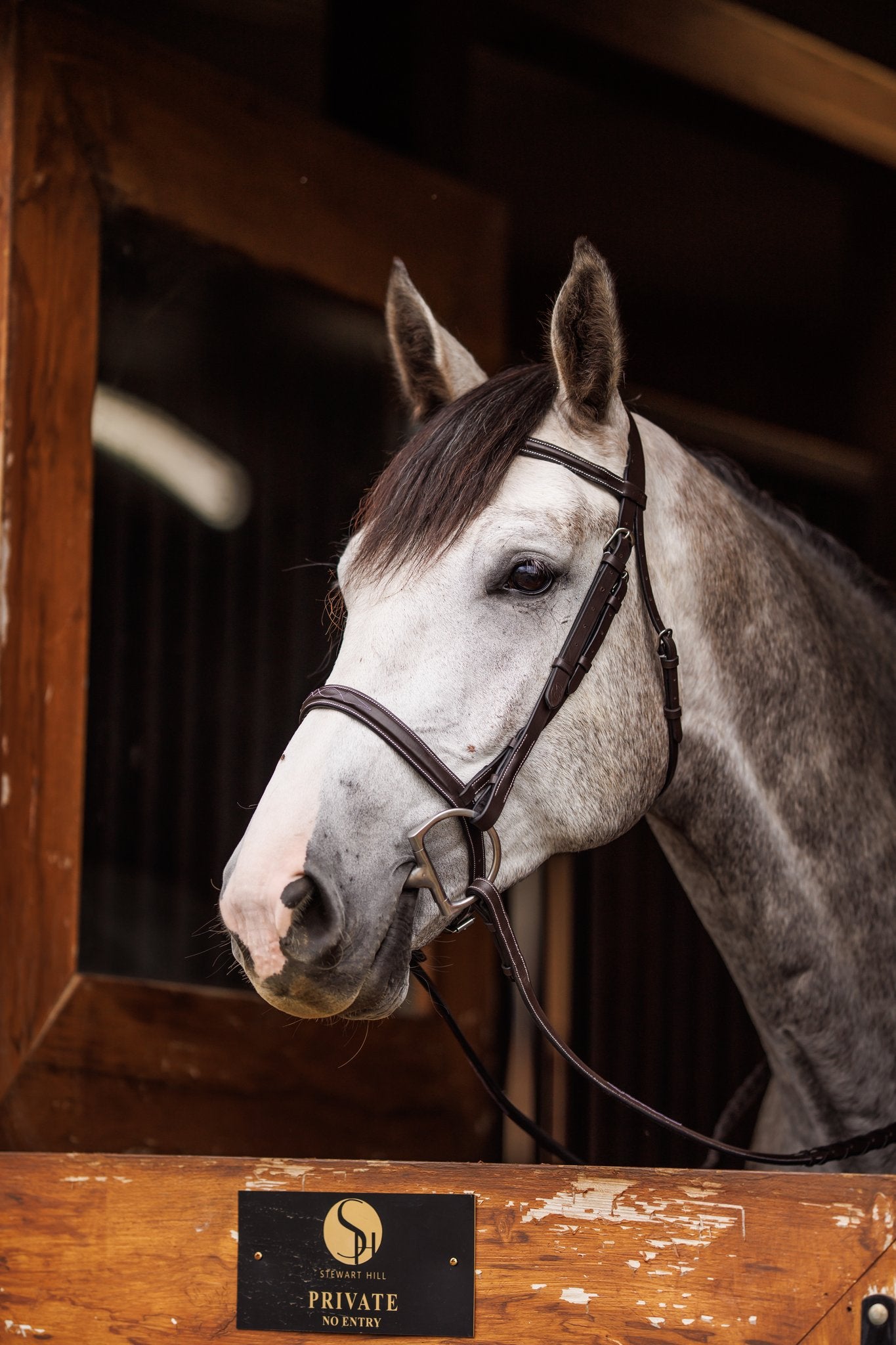 Brydalworx Hunter Bridle