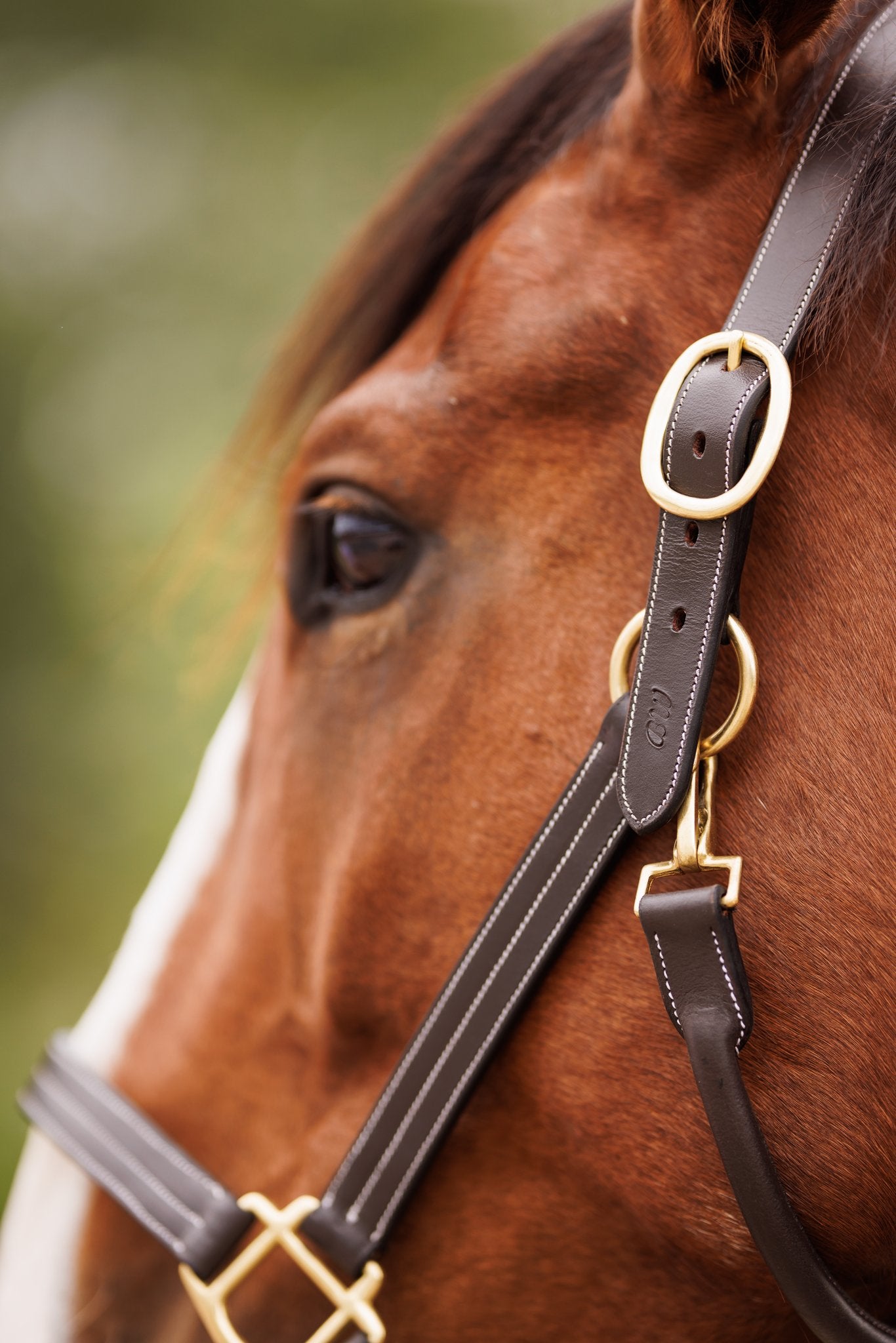 Brydalworx Triple Stitch Leather Halter Fixed Noseband