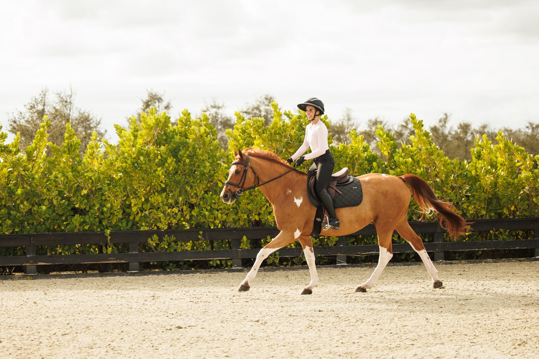 Willow Equestrian Seamless Long Sleeve Shirt